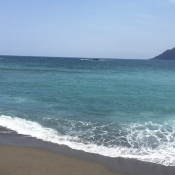中土佐町の大野浜サーフィンポイント