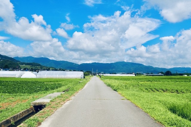 田舎道