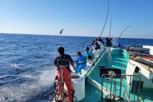 中土佐町のかつお一本釣りの様子